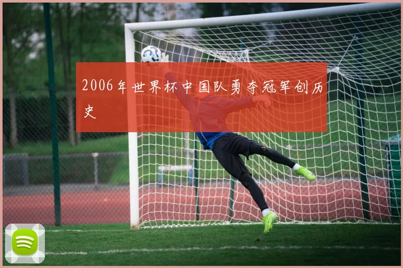 2006年世界杯中国队勇夺冠军创历史