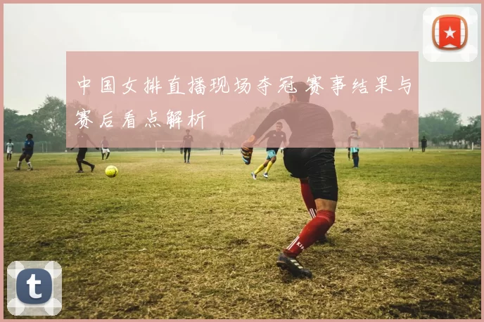 中国女排直播现场夺冠 赛事结果与赛后看点解析