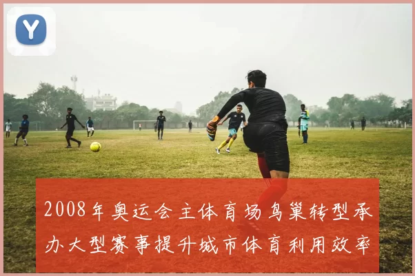 2008年奥运会主体育场鸟巢转型承办大型赛事提升城市体育利用效率