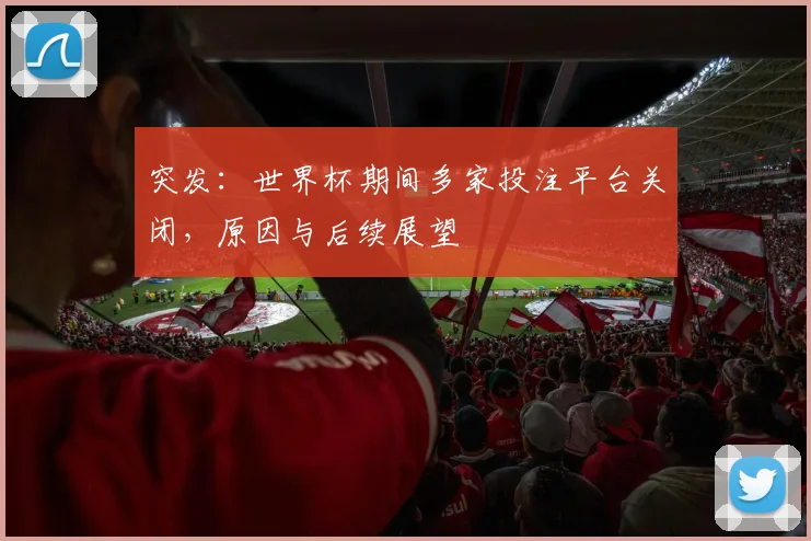 突发：世界杯期间多家投注平台关闭，原因与后续展望