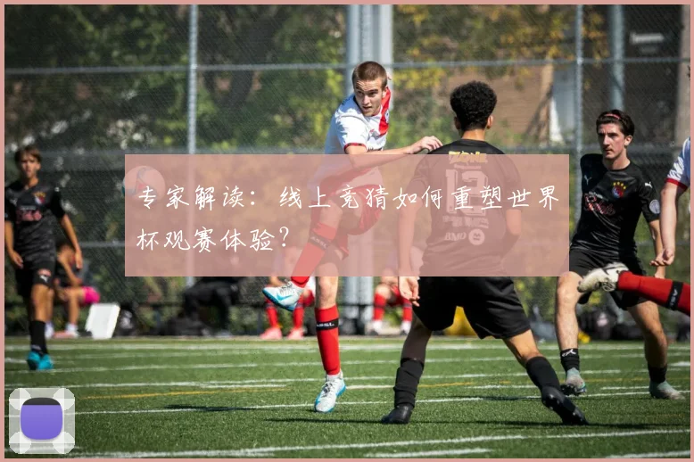 专家解读:线上竞猜如何重塑世界杯观赛体验?