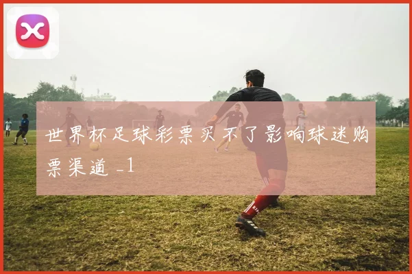 世界杯足球彩票买不了影响球迷购票渠道 _1