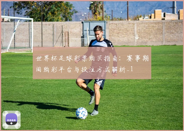 世界杯足球彩票购买指南：赛事期间购彩平台与投注方式解析_1