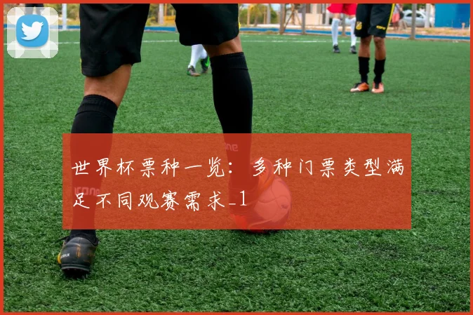 世界杯票种一览：多种门票类型满足不同观赛需求_1